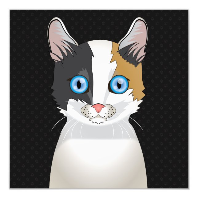 Foto Peças de Cartografia Bobtail Japonês (Frente)