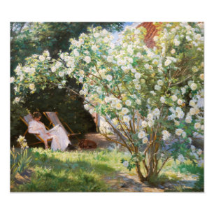 Foto Peder Severin Kroyer - Rosas