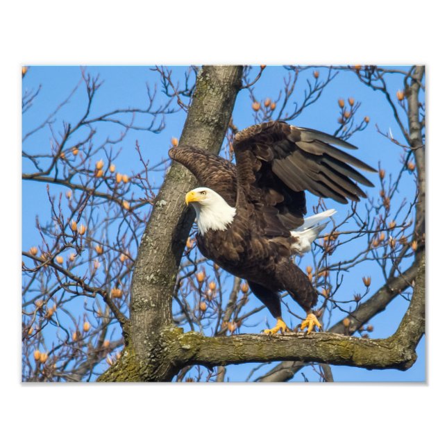 Foto Pegue O Salto! (Frente)