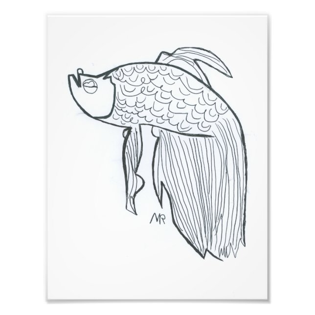 Foto Peixe Beta (Frente)