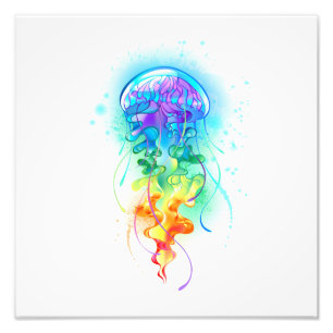 Foto Peixe-medusa