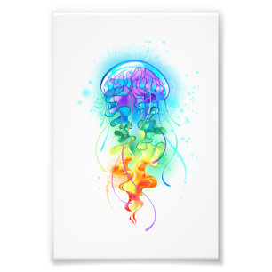 Foto Peixe-medusa