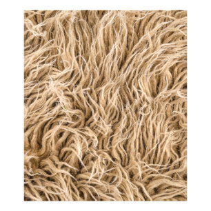 Foto Peles de animais