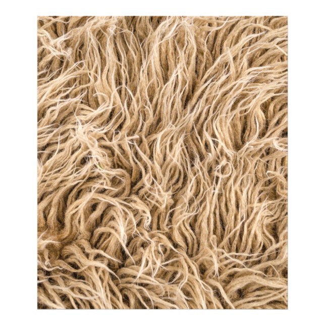 Foto Peles de animais (Frente)