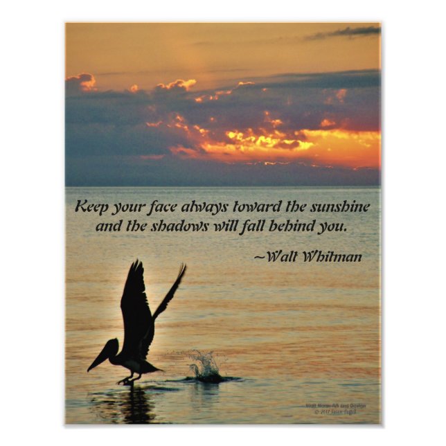 Foto Pelicano decola no pôr do sol na costa do Golfo da (Frente)