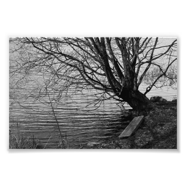 Foto Pelo lago (Frente)