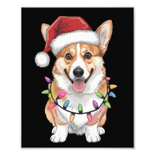 Foto Pembroke Welsh Corgi Papai Noel Luzes Árvore de Na