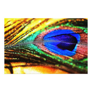 Foto Pena de Shirley Taylor