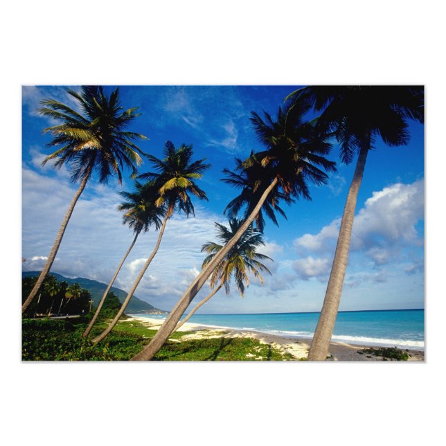 Foto Península de La Samana, República Dominicana, 2 (Frente)