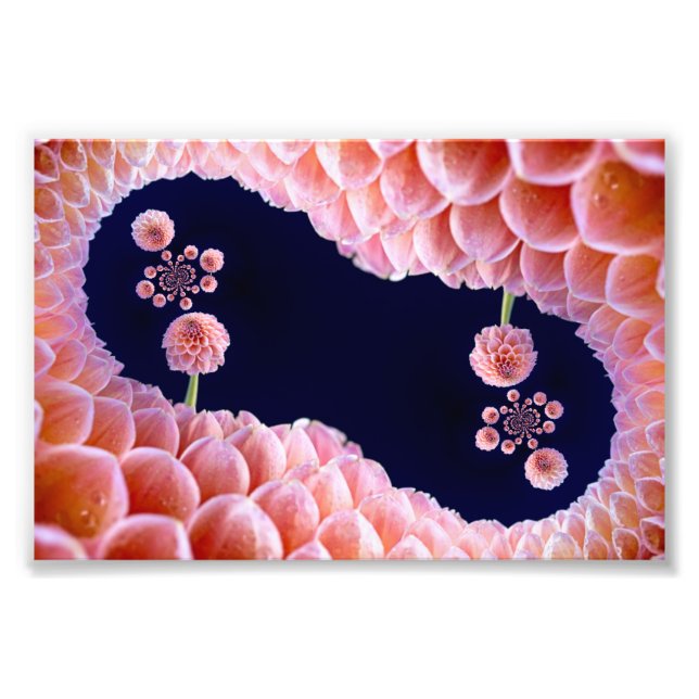 Foto pensamentos floridos (Frente)