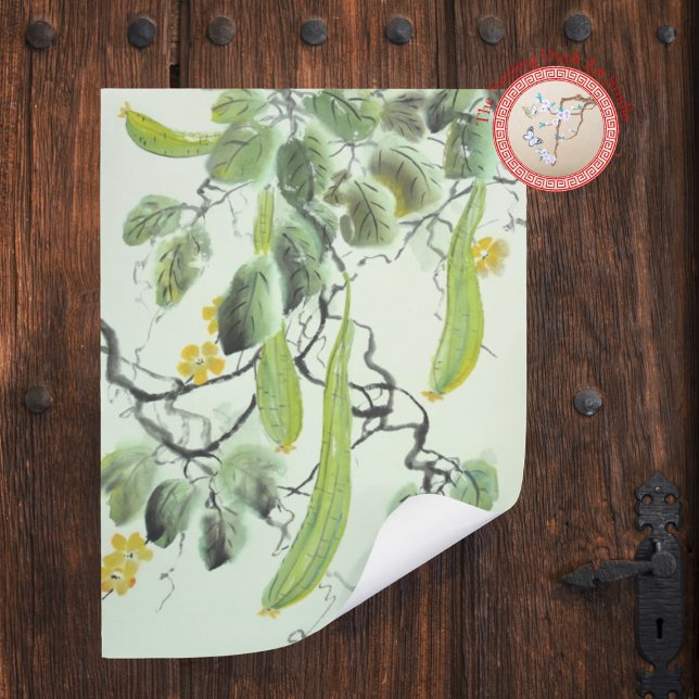 Foto pepino chinês (Criador carregado)