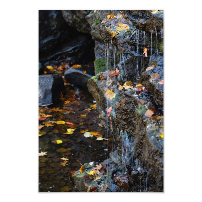 Foto Pequena Cascata Sobre Rochas (Frente)