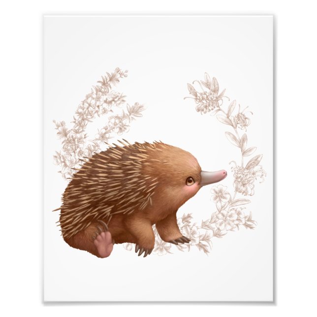 Foto Pequenos Amigos Aussie - Echidna (Frente)