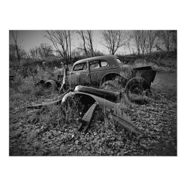 Foto "Pequenos Chompers" (Frente)