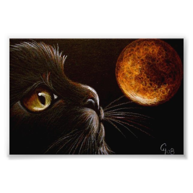 FOTO PERFIL DE GATO PRETO LUA LARANJA NOITE DE HALLOWEE (Frente)