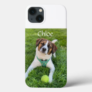 Foto personalizada Adicionar sua imagem