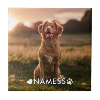 Foto Personalizada Com O Nome Do Seu Cachorro