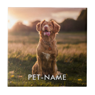 Foto Personalizada Com O Nome Do Seu Cachorro