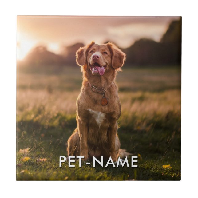 Foto Personalizada Com O Nome Do Seu Cachorro (Frente)
