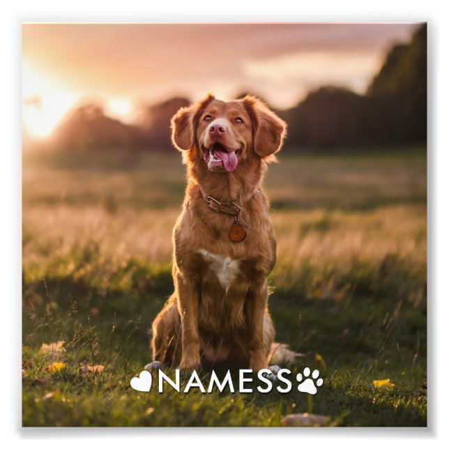 Foto Personalizada Com O Nome Do Seu Cachorro (Frente)
