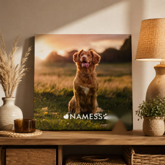 Foto Personalizada Com O Nome Do Seu Cachorro