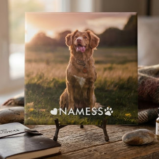 Foto Personalizada Com O Nome Do Seu Cachorro