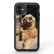 Foto Personalizada da Família ou Cachorro Golden R
