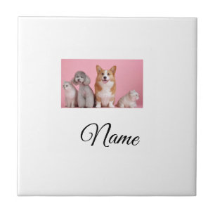 Foto personalizada de animal colorido simples adic