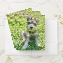 Foto personalizada de cão