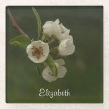 Foto personalizada de Primavera Pear Blossomas fre