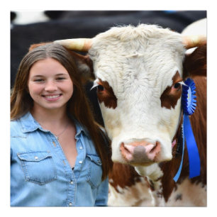 Foto Personalizada de Vaca de Exposição de Gado
