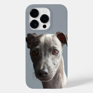 Foto personalizada do cão de estimação