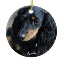 Foto personalizada do Enfeites de natal Dachshund
