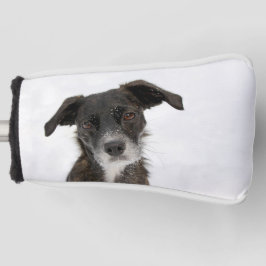 foto personalizada personalizada de cão