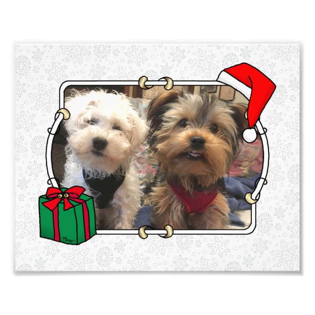 Foto personalizada Santa Hat Pet HO HO (Frente)
