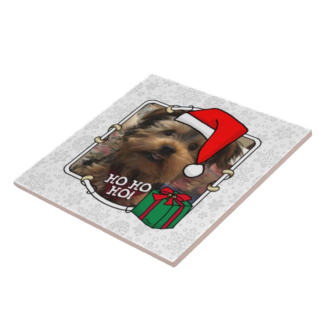 Foto personalizada Santa Hat Pet HO HO (Lateral)