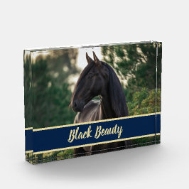 Foto personalizável/personalizada de cavalos com n