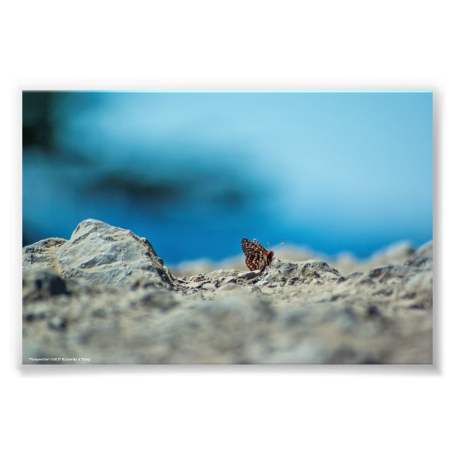 Foto Perspectiva (Frente)