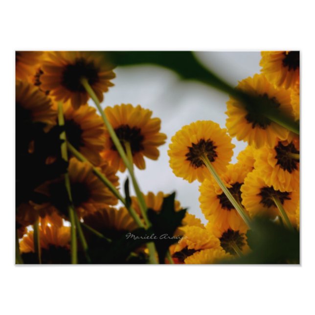 Foto Perspectiva (Frente)