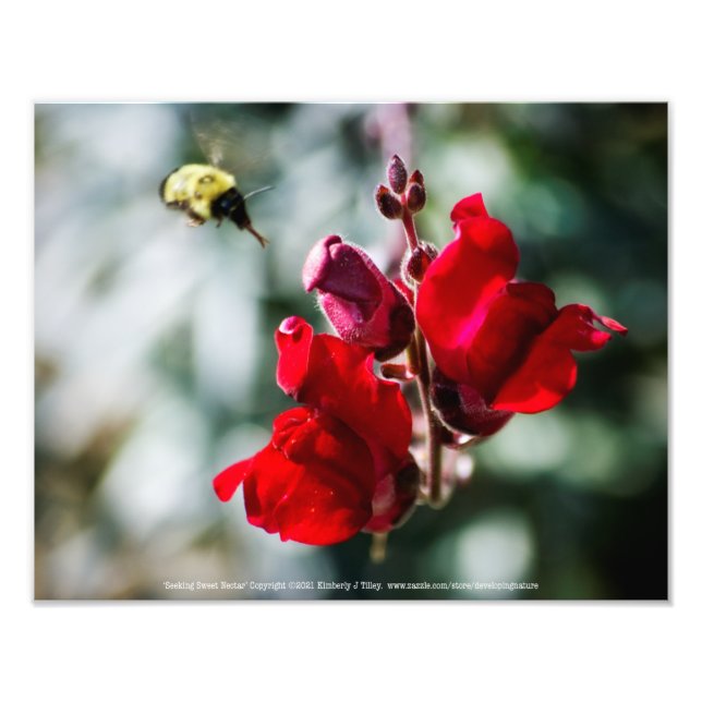 Foto Pescoço (Frente)