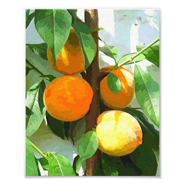 FOTO PÊSSEGOS (Frente)