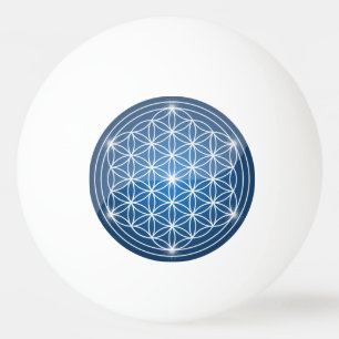 Foto pessoal imagem Tamplate bola de ténis de mesa