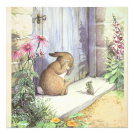 Foto Peter Rabbit