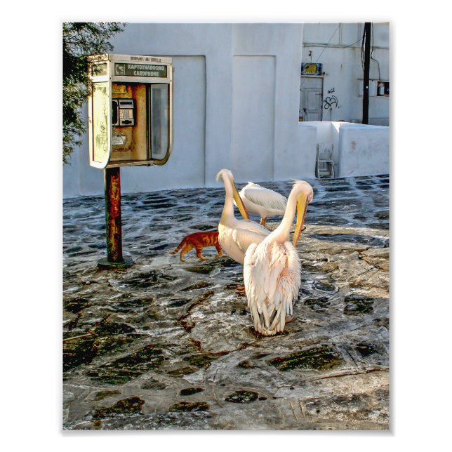 Foto Petros (Frente)