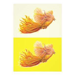 Foto Phoenix - O Pássaro que renasce