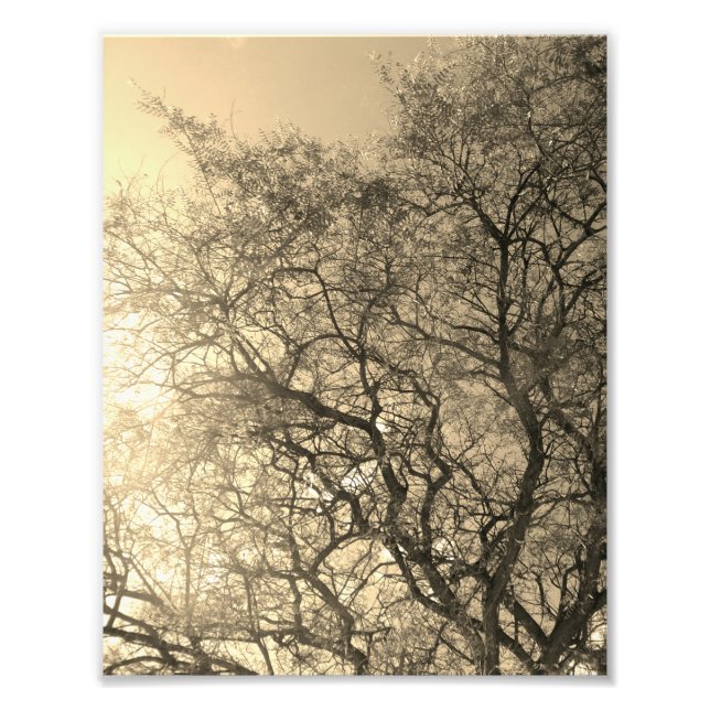 Foto Photo Enlargement (Frente)