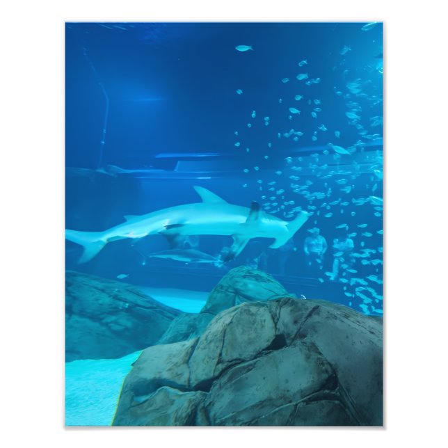 Foto Photograph #Y044 on MEDIUM SIZE Poster (Frente)