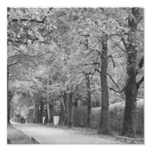 Foto Photoprint da "arcada"