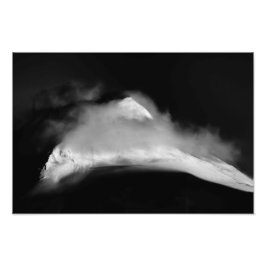 Foto Pico de aves cobertas