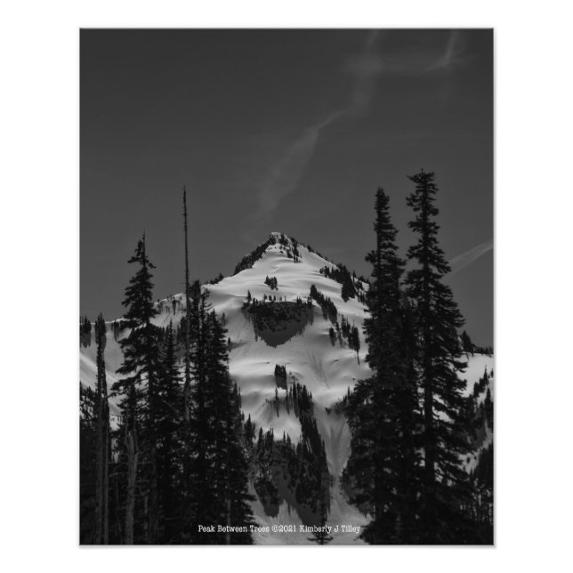 Foto Pico entre árvores (Frente)